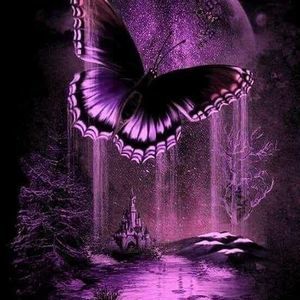 Meet your Posher, Dana